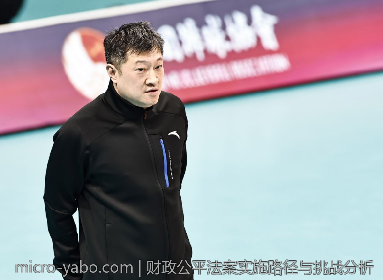 财政公平法案实施路径与挑战分析